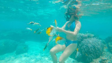 Sualtı: Turkuaz bikinili kadın snorkeler küresel ısınmadan zarar ağartılmış mercan keşfetmek bir grup egzotik balık beslenir. Genç kadın dalış gözyaşları tropikal vahşi yaşam beslemek için ekmek.