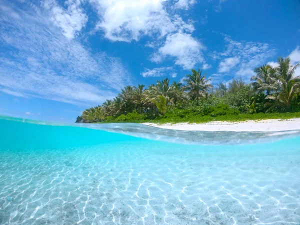 Half Underwater Vue Spectaculaire Plage Sable Blanc Hawaï Entourée Palmiers — Photo