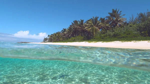 Half Underwater Dark Starfish Ligt Witte Zand Oceaan Vloer Een — Stockfoto