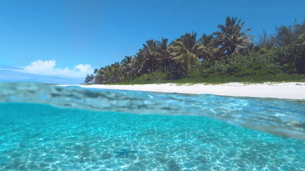 Yarım Altı Zümrüt Okyanus Boş Cennet Adası Yakın Kumlu Altındaki — Stok fotoğraf