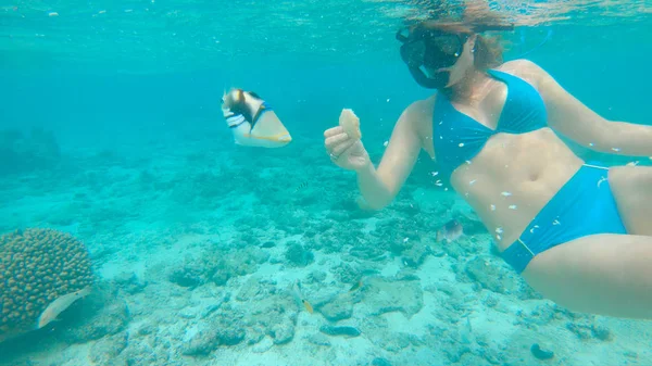 Acqua Chiudi Una Giovane Donna Premurosa Che Snorkeling Intorno Alla — Foto Stock