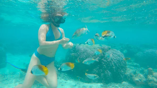 Sotto Acqua Pesci Esotici Nuotano Intorno Viaggiatore Femminile Con Mano — Foto Stock
