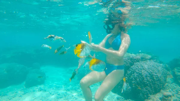 Underwater Female Snorkeler Turquoise Bikini Feeds Group Exotic Fish While — Stock Photo, Image