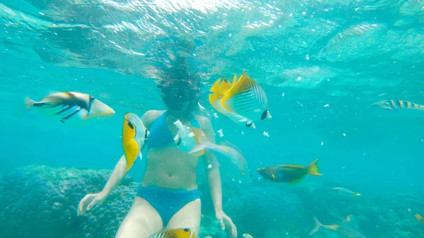 Sotto Acqua Dolce Snorkeler Femminile Che Strappa Pane Nutre Una — Foto Stock