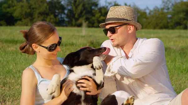 Hautnah Der Fröhliche Schwarz Weiße Welpe Wird Einem Heißen Sommertag — Stockfoto