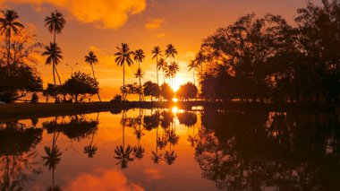 Hava: Altın akşam güneşi Tahiti'nin tropik kıyı şeridini ve sakin Pasifik Okyanusu'nu aydınlatır. Uzun palmiye ağaçları Fransız Polinezyası egzotik plajları hemen yanındaki küçük göl çevreleyen.