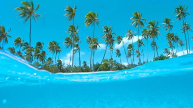 Yarım su altı, Dof: Pitoresk kumlu plaja ve turkuaz okyanus su Fransız Polinezyası çarpıcı güneşli bir günde. Paradise Island Sahil beyaz kum kıyı ve yeşil avuç içi ile güzel görünümü.