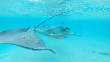 Sualtı: Dalış oynak beyaz kız büyük vatoz ve küçük bir köpekbalığı ile birlikte zümrüt su. Genç kadın turist tarafından yüzme dost deniz hayvanları ile onun yaz tatil keyfini.
