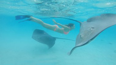 Sualtı: İki nazik stingrays mutlu kadın güneşli paradise Island yakınındaki berrak okyanus su dalış etrafında yüzer. Genç gezgin turkuaz egzotik deniz dostu deniz ışınları ile keşfetmek.