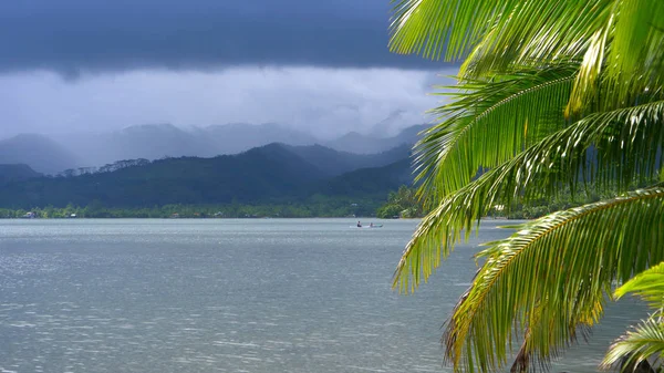 Fermer Les Touristes Actifs Inconnus Regardent Autour Île Tropicale Couper — Photo