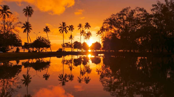 Hava: Altın akşam güneşi Tahiti'nin tropik kıyı şeridini ve sakin Pasifik Okyanusu'nu aydınlatır. Uzun palmiye ağaçları Fransız Polinezyası egzotik plajları hemen yanındaki küçük göl çevreleyen.