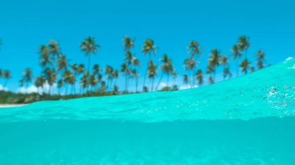 Half Half Out Dof Tall Palm Trees White Sand Beach — Stock Photo, Image