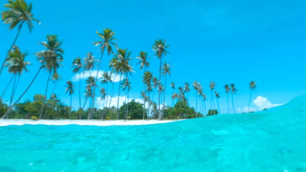 Half Underwater Dof Lush Tropical Vegetation Surrounds White Sand Beach — Stockfoto