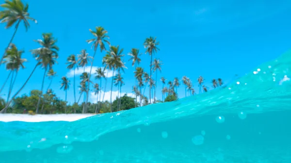 Получить Внутри Дом Пляж Пальмовыми Деревьями Спокойное Изумрудное Море Жаркий — стоковое фото
