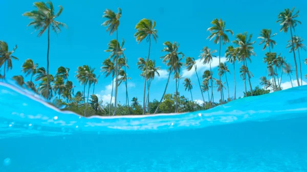 HALF UNDERWATER, DOF: Picturesque sandy beach and turquoise ocean water on a sunny day in stunning French Polynesia. Beautiful view of paradise island coast with white sand shore and green palms.
