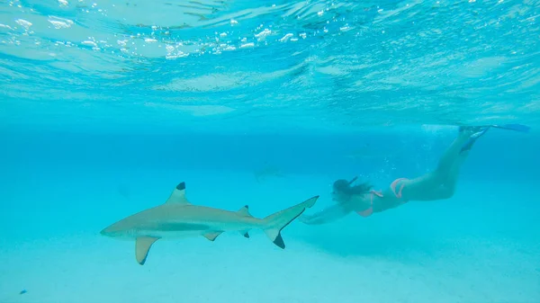 Sotto Acqua Giovane Donna Vacanza Snorkeling Mare Turchese Tra Simpatici — Foto Stock