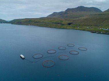 Hava: yuvarlak soğuk denize yakın bir sakin balıkçı köyü Faroe Adaları'nın nefes kesen sağlam kırsalında kafeslerde yukarıda uçan. Muhteşem çimenli dağlar deniz ve kıyı kenti bakar.