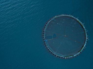 Üst aşağı hava kopya alanı: bir kafes somon doğal Faroe Islands yakınındaki denizde tam yukarıda uçan. Balıkla dolu daire sakin mavi okyanusun ortasında. İskandinav balık çiftliği.