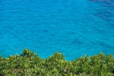 Anteni, kopya alanı: Uçan yeşil ağaçlar sakin turkuaz okyanus üzerinde uzanan saçak yukarıda. Zeytin ağacı Kanopiler ve Sardunya Güneşli sahil sakin turkuaz deniz manzaralı atış.