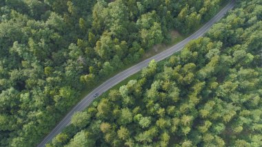 Anteni, üst aşağı: Koyu renkli araba hız Slovenya pastoral koyu yeşil orman yoluyla. Sinematik yukarıdan aşağıya bir joyride sessiz ağaçların arasından önde gelen boş asfalt yolda bir araba çekim.
