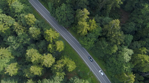 AERIAL, TOP DOWN: Flying above two tourist cars on sightseeing journey cruising through the beautiful dark green forest. Cinematic aerial of cars driving through the quiet countryside in Slovenia.
