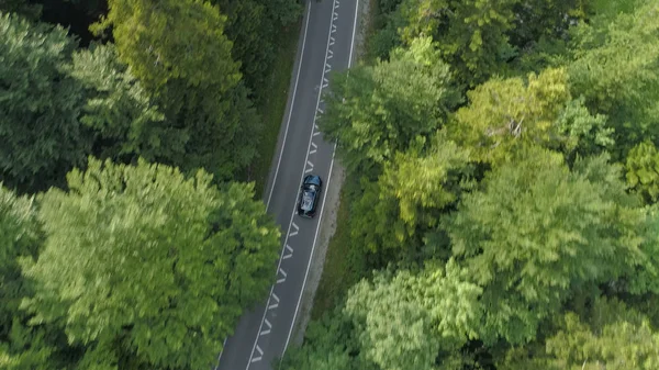 Aerial Top Dark Car Drives Empty Forest Road Sunny Slovenia — Stock Photo, Image