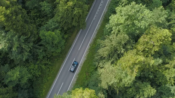 하향식 화창한 고요한 숲에서 아스팔트도로 자동차 드라이브를 관광객에 슬로베니아의 — 스톡 사진