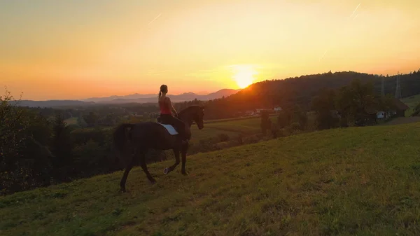 航空写真 認識できない若い白人女性彼女の馬に乗って美しい日当たりの良い夜 草原と女の子の乗馬を照らす朝の空の美しいショット 美しい夏の日の出 — ストック写真