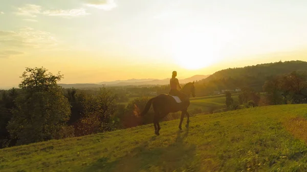航空写真 レンズ フレア 認識できない若い女性壮大なスロベニア田舎を通って彼女の茶色の馬に乗って風光明媚な夏の夜 美しい自然で楽しい女の子の乗馬 — ストック写真