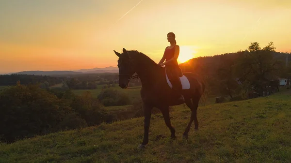 航空写真 レンズ フレア 笑顔若い白人女性彼女の大人の馬に乗って美しい夏の夕暮れ時 彼女の美しい茶色の馬に乗りながら風光明媚な田舎を楽しんで幸せな屈託のない少女 — ストック写真
