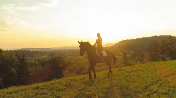茶色の馬と少女の穏やかな夏の夜の牧歌的な日当たりの良い田舎道を繋駕速歩レースに沿って空中 レンズフレア 飛んで 陽気な若い白人女性乗馬美しい朝に — ストック写真