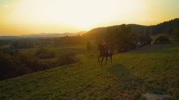 Εναέρια Golden Sunset Λάμπει Ανέμελο Κορίτσι Ιππασία Της Ενεργητικός Καφέ — Φωτογραφία Αρχείου