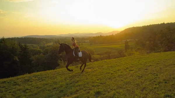 航空写真 のんきな白人少女動物好き彼女の大人の茶色の馬での夏の夜 幸せな若い女乗馬スロベニア語の美しい田舎を通して美しい黄金点灯日の出 — ストック写真