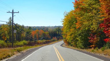 Vermont'ın kırsal kalbinde pitoresk sonbahar renkli orman yoluyla çalışan boş beton yol. Sıcak sonbahar güneş parlar asfalt yol ve güzel yaprak döken orman renklerini değiştirme.