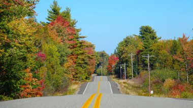 Güneşli bir günde sonbaharın renklerini değiştirme doğal orman geçmiş çalışan boş haddeleme asfalt yol. Bir sakin güneşli sonbahar gününde güzel kırsal New Hampshire. Havalı beton kırsal yolu.