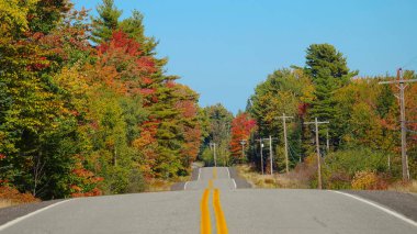 Vermont doğal ağaçların arasından yukarı ve aşağı gidiş serin beton kırsal yolu. Sakin kırsal manzara ile önde gelen boş asfalt yol boyunca güzel yaprak döken orman yaprakları dönüm ile çalışır
