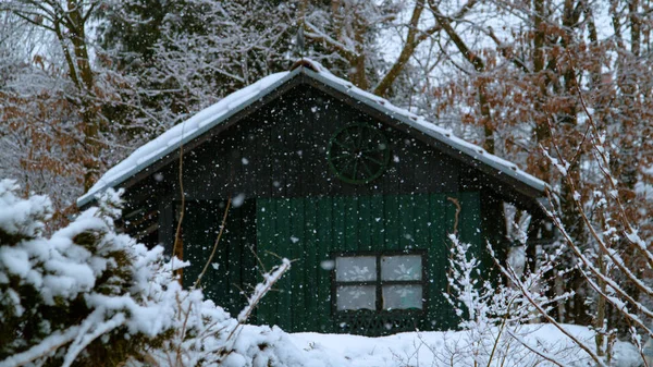 Eenzame Groene Houten Hut Het Bos Wordt Bedekt Door Ongerepte — Stockfoto