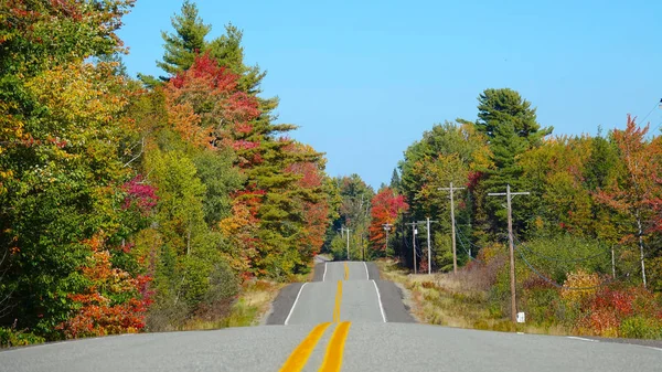 Route Asphaltée Roulante Vide Passant Devant Forêt Pittoresque Changeant Couleur — Photo