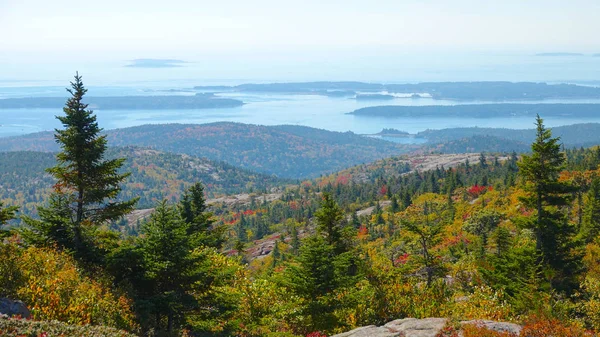 Antenn Flygande Över Färgglada Skogen Nationalparken Hisnande Maine Leaf Kika — Stockfoto