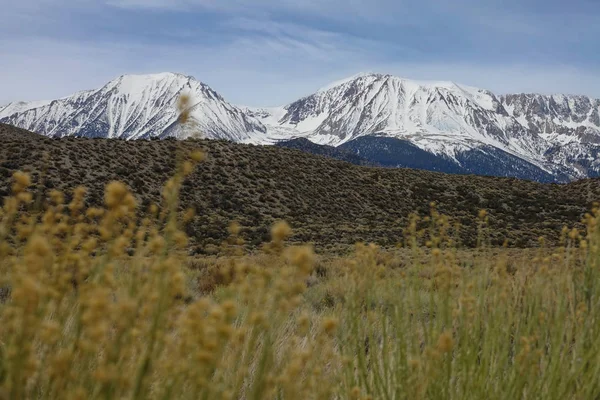 Close Dof Breathtaking Snowy Mountains Tower Arid Californian Landscape Harsh — Stock Photo, Image