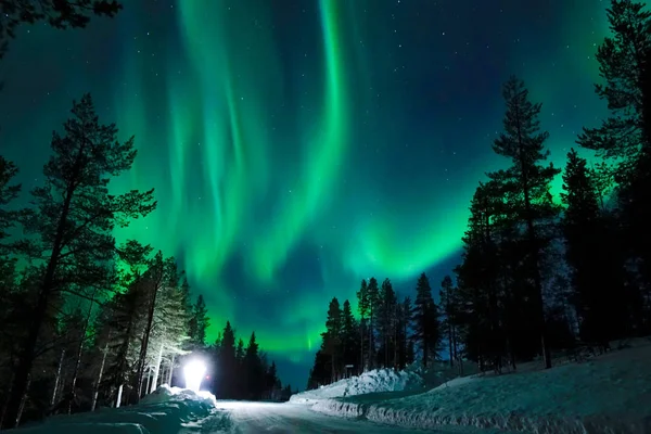 Parlak lamba boş karlı yolda sadece Kuzey ışıkları parlak pastoral İskandinav kırsal kışın görünür. Yukarıda sakin kış manzara nefes kesici aurora borealis.
