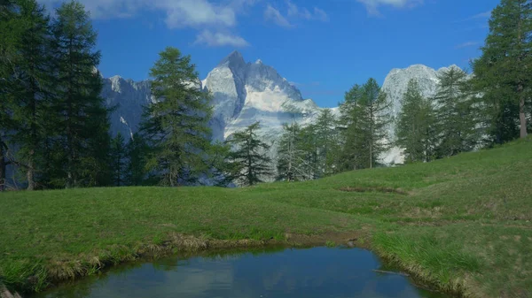 Breathtaking Rocky Mountain Towers Coniferous Forest Surrounding Pond Slovenian Countryside — Stock Photo, Image