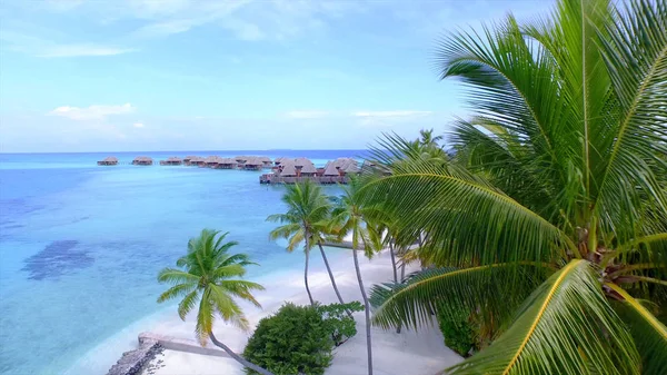 Hava Büyük Palmiye Ağaç Gölgelik Turkuaz Renkli Okyanus Üzerinde Inşa — Stok fotoğraf