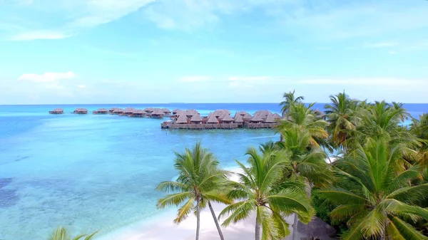 Hava Palmiye Ağacı Kanopiler Turistik Tropik Ada Turkuaz Renkli Okyanusun — Stok fotoğraf