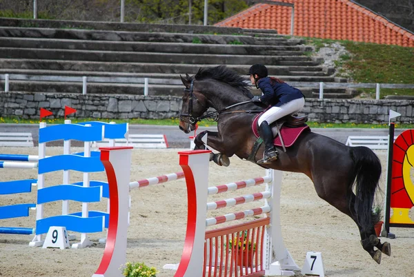Athletic woman and her beautiful horse training on the sandy course for a show jumping event. Girl riding her stallion and jumping over the colorful obstacle during a horseback riding competition