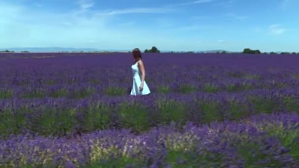 Ángulo Bajo Aerial Mujer Joven Paseando Por Campo Perfumado Lavanda — Vídeo de stock