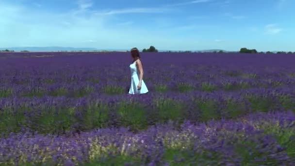 Vzdušný nízký úhel: mladá žena, která prochází protkanou polí levandule. Ženský turista obdivují kvetoucí šeřík lavandulské rostliny. Ohromující Francouzská kvetoucí krajina za jasného letního dne.