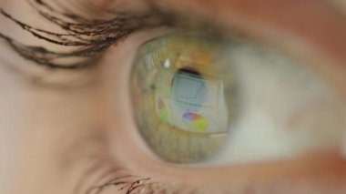 Makro Kapat Tanımlanmamış kadın bilgisayar ekranında grafiklere bakıyor. İş kadını iş için sunumunu gözden geçiriyor. YüzeyindePc monitör yansıması görüntü ile yanıp sönen göz