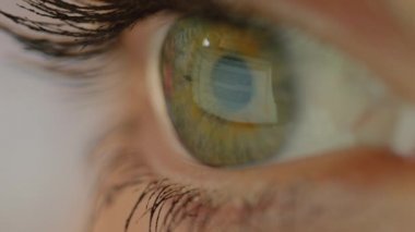 Makro Kapat Göz hareketi bilgisayar ekranında iris yansıması ile metin okurken. Elektronik belgeyi incelerken gözler hareket ediyor. Görüntüleyicinin gözlerine yansıyan bilgisayar monitöründen görüntü.