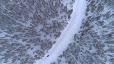 AERIAL TOP DOWN: Blue car driving on slippery snowy road through dense frosty spruce forest in Lapland wilderness. People in auto on road trip across icy Finland landscape dotted with white pine trees